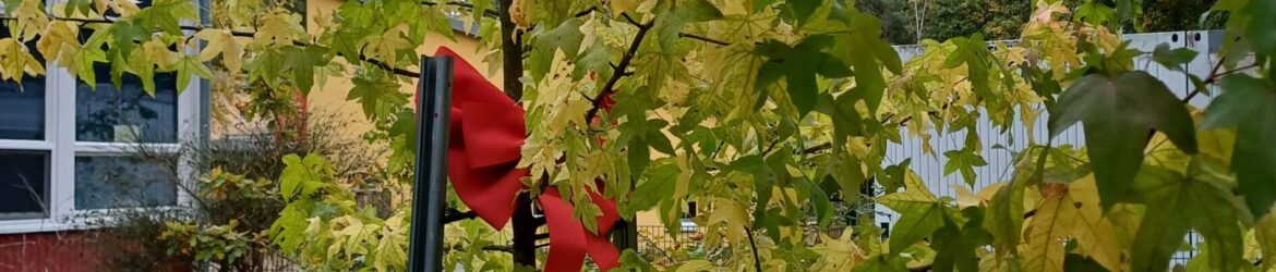 20251010_143556 (002)